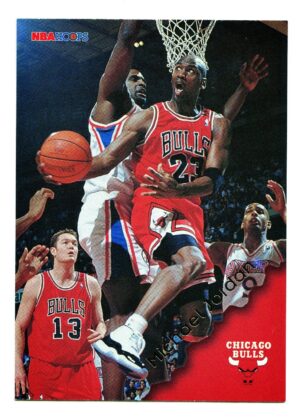 HOOPS 1996 MICHAEL JORDAN #20 CHICAGO BULLS SILVER